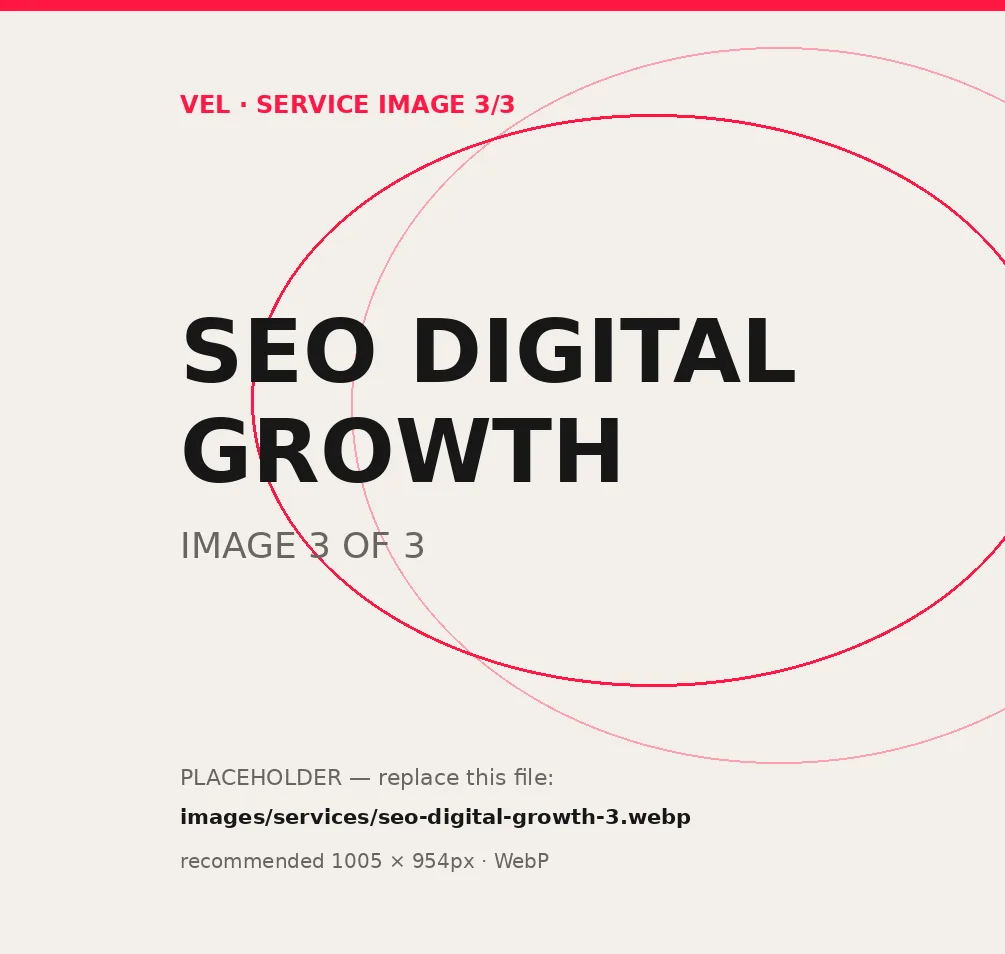SEO & Digital Growth — Application — VEL Creative Studio